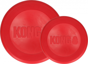 KongFlyerLarge