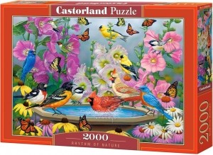 RhythmofNaturePuzzel2000stukjes