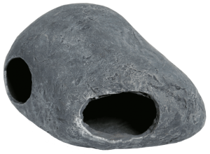 Superfishfishcave2-Superfish