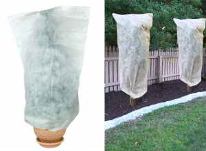 GSPlantenbeschermhoes-125x80x80cm-Winterbescherming-Wit