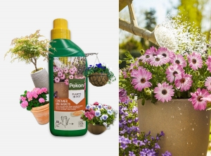 PokonTerrasBalkonplantenVoeding-500ml-Plantenvoeding-10mlper1Lwater