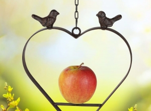 Vogelvoederhanger-vetbolhouder-Mezenbollenhouder