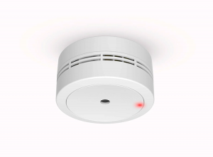 ProfileMiniRookmelder-10Jaar-9VLithiumBatterij