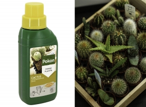 PokonCactusVoeding-250ml-Plantenvoeding-10mlper1Lwater