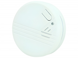 ProfileMiniRookmelder-10Jaar-9VLithiumBatterij