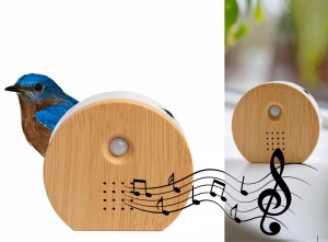 QLTNatureGeluidboxmetSensor-Vogel-Zee-ofJunglegeluiden-Hout