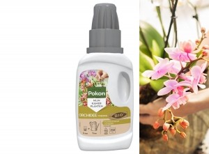 PokonOrchideeVoeding-250ml-Plantenvoeding-10mlper1Lwater