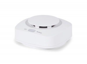 BRAINZRookmelder-Voorruimtetotca60m2-Wit