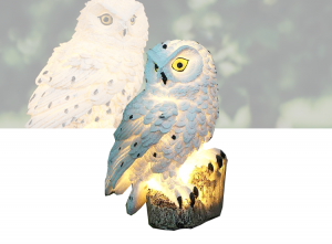 SolarLEDVerlichteUil-Zonne-energie