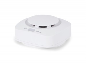 BRAINZRookmelder-Voorruimtetotca60m2-Wit