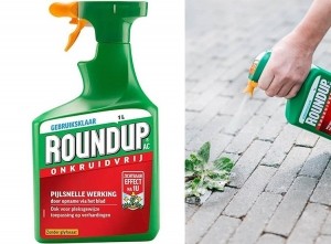 ROUNDUPOnkruidvrijKantenKlaarSpray-1L