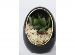Echeveriaindecorativeeggblackgold-setof2
