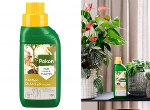 PokonKamerplantenVoeding250ml