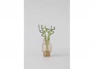 LuckyBamboostems-setof6