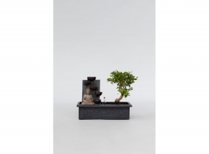 BonsaimetwatervalBuddha