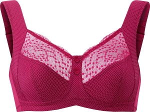 Steunbehazonderbeugel