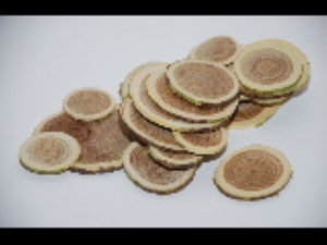 Woodslices-Hbxdeco