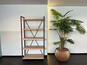 EikenhoutenboekenkastvakkenkastBellametstalenframe