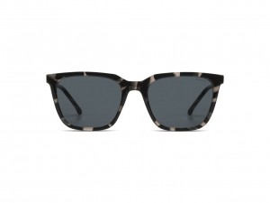 KomonoJayAcapulcoZonnebrilSR1