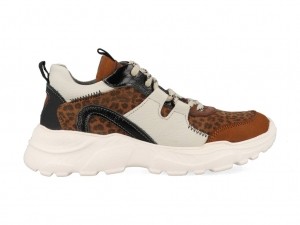 BraqeezRobinRun421792-513Bruin-38maat38