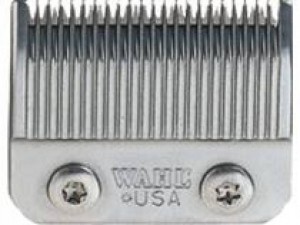 WahlAmassadorSnijmesgrof