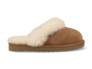 BullboxerPantoffelsAAE000F1LCHESKB80Bruin-30maat30