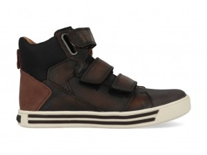 BraqeezDexDay421857-519Bruinmaat