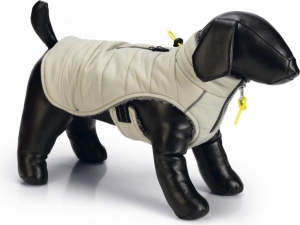 BZHONDENJASBOBBYTPE62