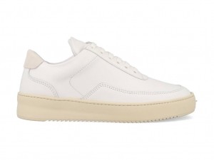 FillingPiecesLowMondoRippleNardoWhiteOffWhite-36maat36