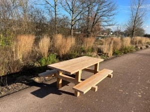 DouglashoutenPicknicktafelAisametHpoten