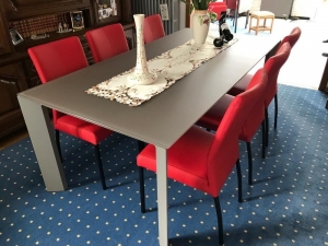 Setvan6eetkamerstoelen-roodleer-EchtleerModernontdekdeveleLeersoortenenKleurenbijShopX