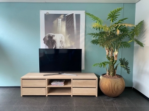 Eikenhoutentv-meubelLinde