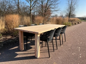 TuintafelDouglashoutGinomethoutenNpoten