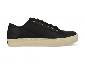 TimberlandAdventure20CupsoleTB0A2HGP015Zwart-41maat41