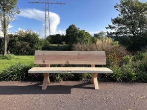 Douglasboomstamtuinbankjemetrugleuning