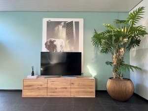 Eikenhoutentv-meubelPebe