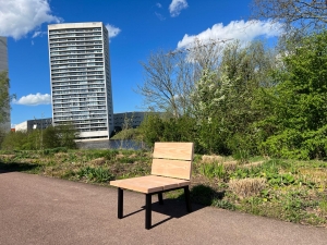 DouglashoutenlowdiningchairChantal