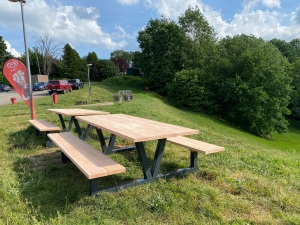 DouglashoutpicknicktafelVicmetindustrieelframe