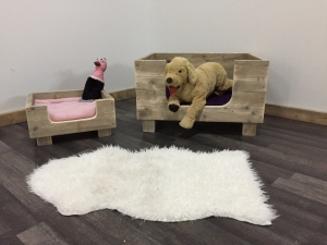 SteigerhoutenhondenmandMilow