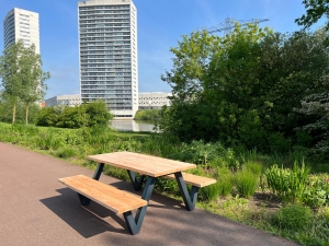 DouglashoutPicknicktafelWolfmetindustrieelWframe