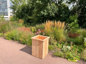 BloembakRezavandouglashout60x60x80cmOUTLET