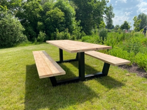 DouglashoutpicknicktafelGorinmetstalenankerpoot