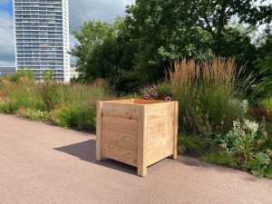 DouglashoutbloembakEmma