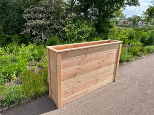 DouglasplantenbakEnnio