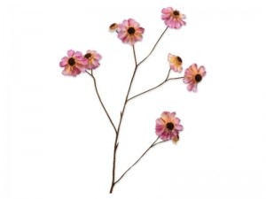 Rudbeckiatakl101cmroze-Silkka