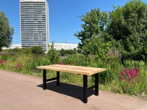 IrokohoutentuintafelConny