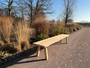 DouglasbankjeFemmetschuinepoten