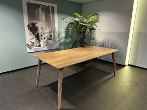 EettafelDentemangohoutmetrondepotenenhoeken