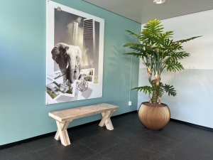 SteigerhoutenbankAntigometXpoten