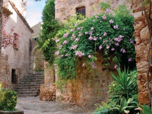 Italiaansesteeg70x50cmTuinschilderijCustomize-it-Customizeit